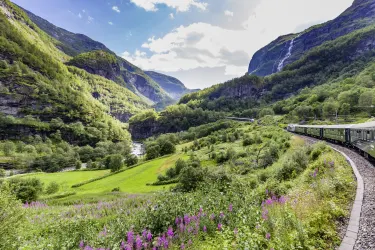 Aurland