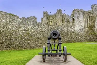 Trim Castle