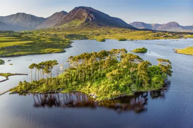 Pines Island, Connemara