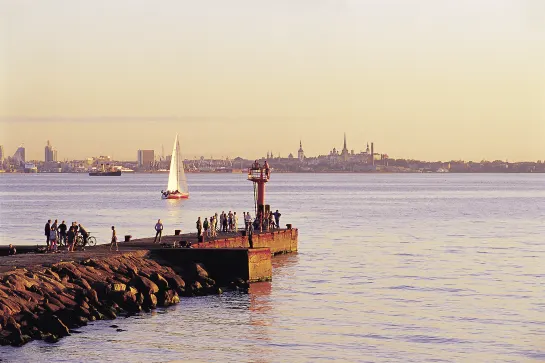 Blick auf Tallinn entlang der Küste