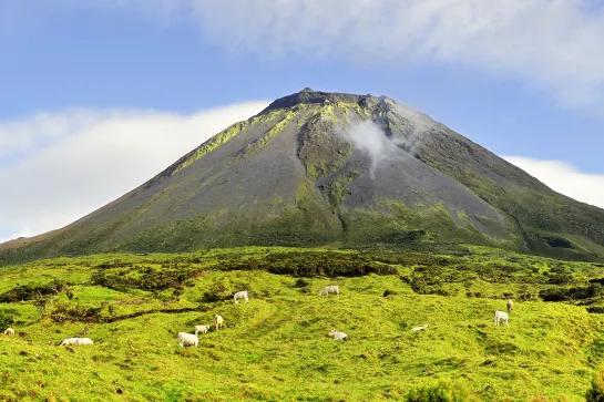 Höchster Berg Portugals - der Pico Vulkan