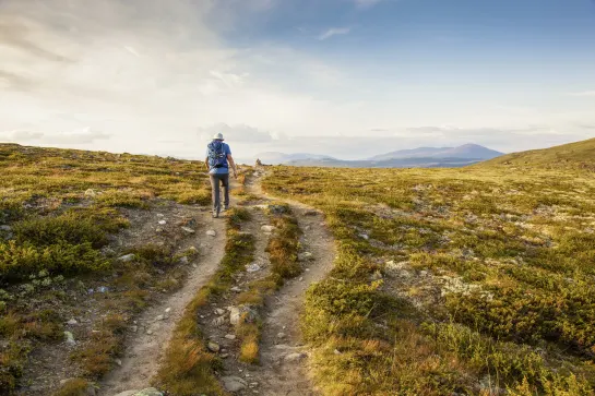 Wanderweg Region Vrådal