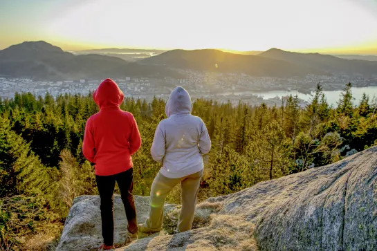 Aussicht vom Fløyen