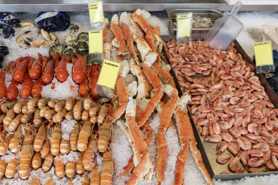 Seafood auf dem Fischmarkt