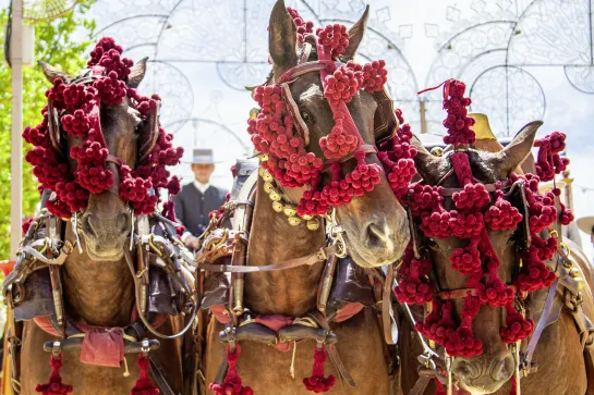Jerez de la Frontera