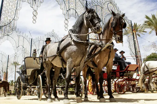 Jerez de la Frontera