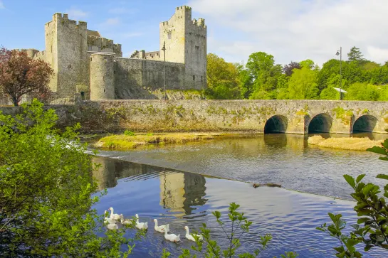 Cahir Castle