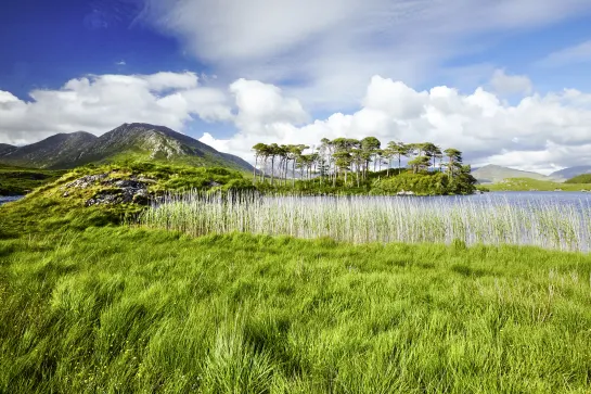 Connemara