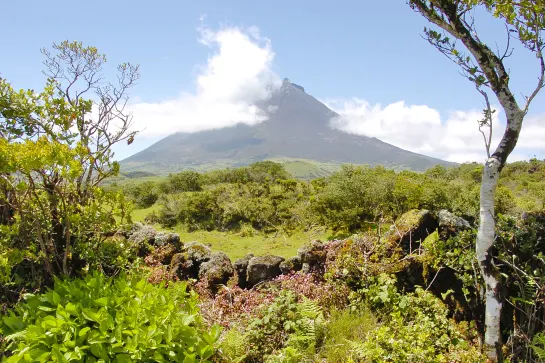 Blick auf den Vulkan Pico