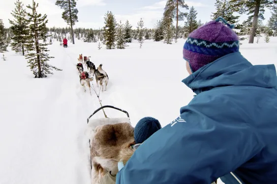 Huskyschlittensafari
