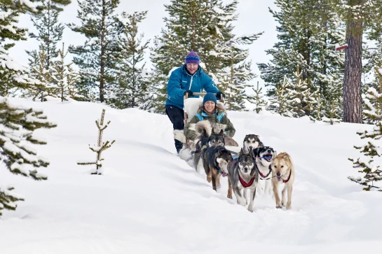 Huskyschlittengespann selbst navigieren