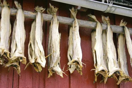 Stockfisch