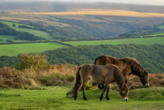 Exmoor Nationalpark