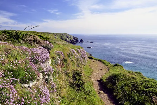 Lizard Point