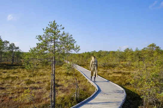 Bohlenpfad im Lahemaa Nationalpark