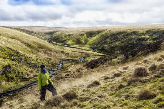 Dartmoor Nationalpark