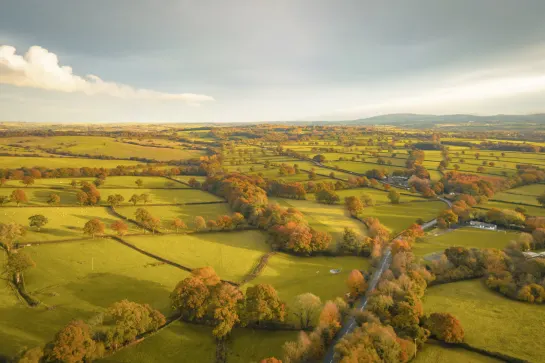 Dartmoor Nationalpark