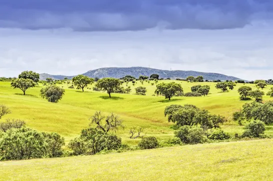 Alentejo