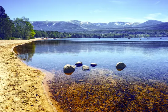 Loch Morlich