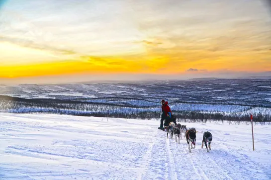 Huskyschlittensafari