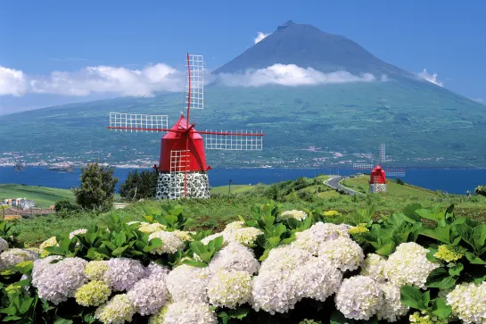 Windmühle auf Faial mit dem Vulkankegel Pico im Hintergrund