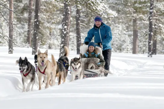 Huskyschlittensafari