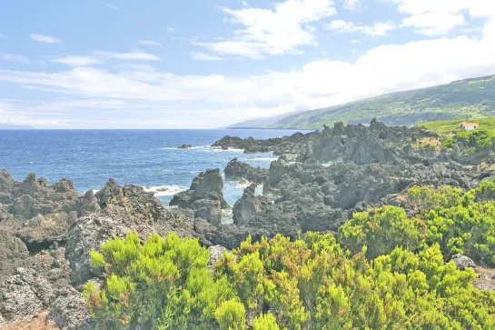 Labyrinth aus bizzarren Basaltformationen