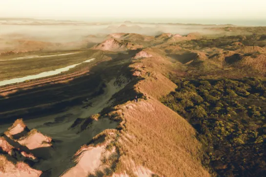 Wanderdüne Råbjerg Mile