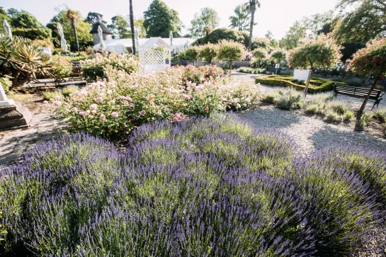 Botanische Gärten bei Samarès Manor