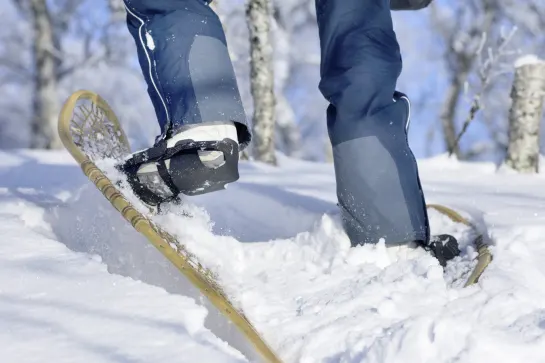 Schneeschuhwandern optional buchbar