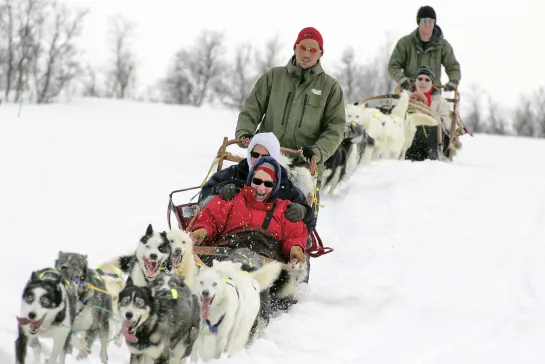 Huskyschlittensafari