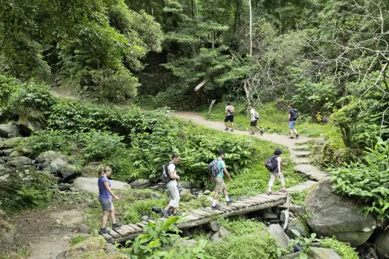 Wanderung Sanguinho - Rundweg in Faial da Terra