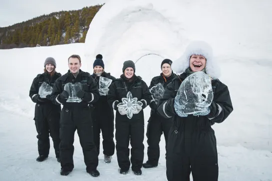 Fertiggestelle Eisskulpturen