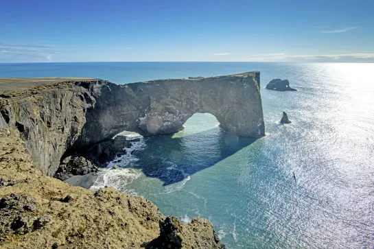 Vogelfelsen Dyhrolaey