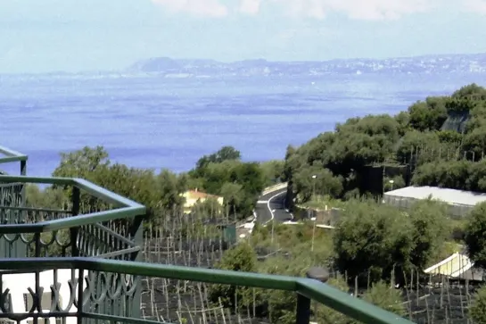 Blick vom Central Park Hotel