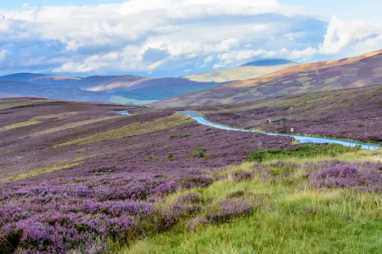 Cairngorms Nationalpark