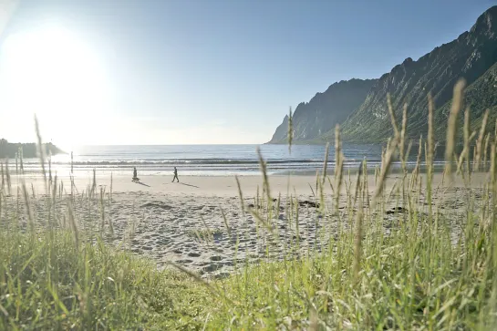 Strand auf der Insel Senja