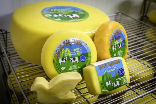 Käse von São Jorge