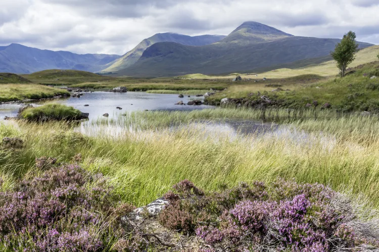 Rannoch Moor