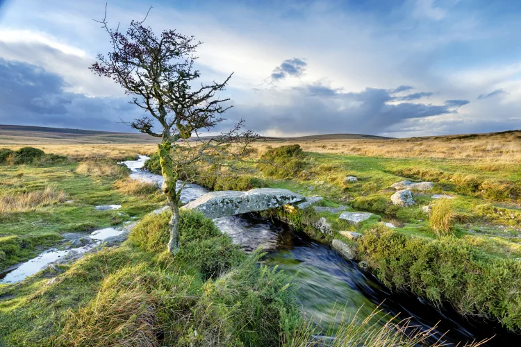 Dartmoor Nationalpark