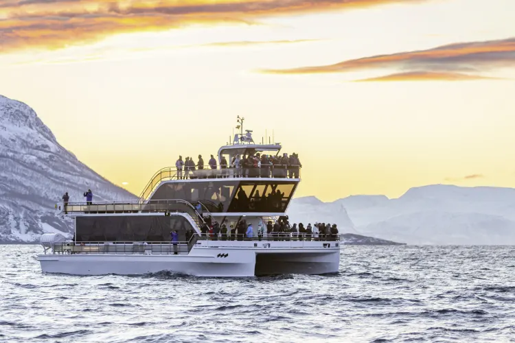 Walsafari bzw. Fjord & Wildlife Cruise