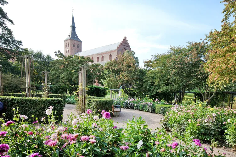 Odense, Domkirche