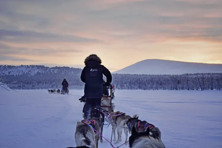 Huskysafari