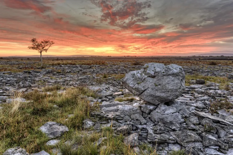 Burren, Clare