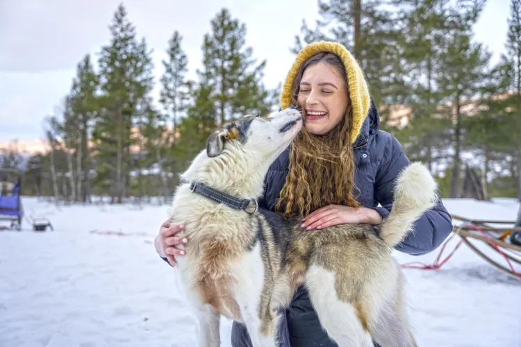 Husky