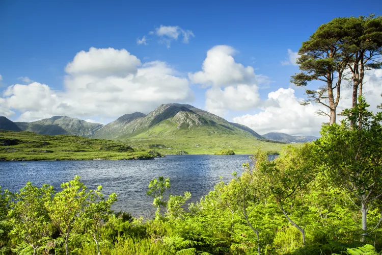 Connemara, Galway