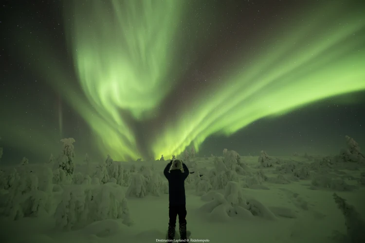 Nivunki Village, Northern Lights