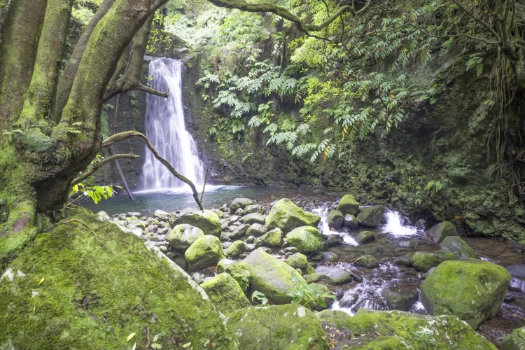 Salto de Prego, São Miguel