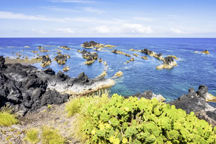 Misteiros Naturpools