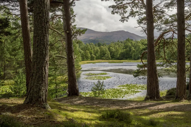 Cairngorms Nationalpark